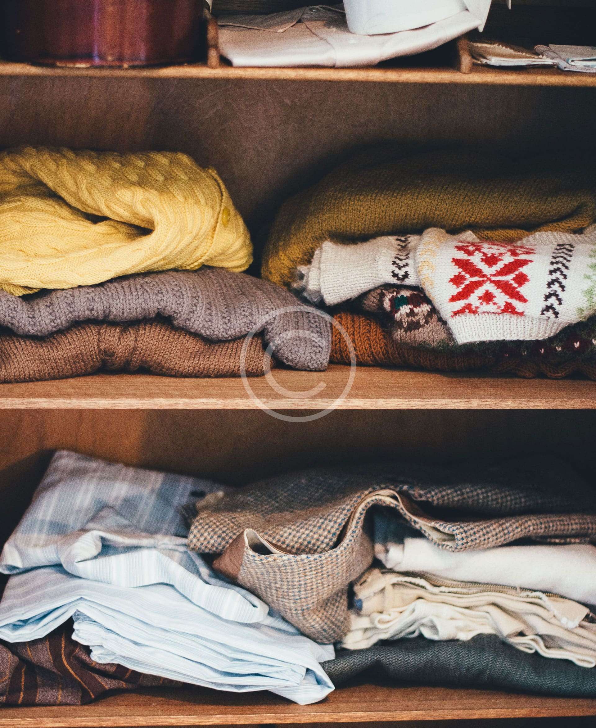 Family Learning/Experiences